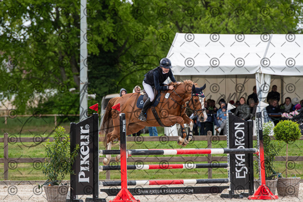 KPT_8438 | andre_photographic