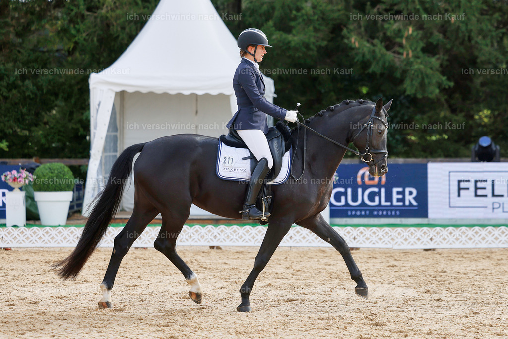 02-204-DRESSUR L_  -StoibPH-4802 | working equitationturnier fotograf videograf stoibphotography marixx film working equitation deutschland reitsport turnierfotografie eventfotografie equestrian events