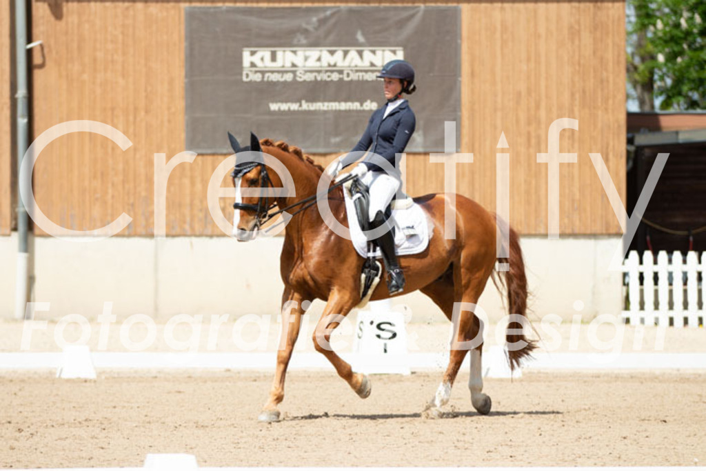 IMG_5701 | Creatify Fotografie