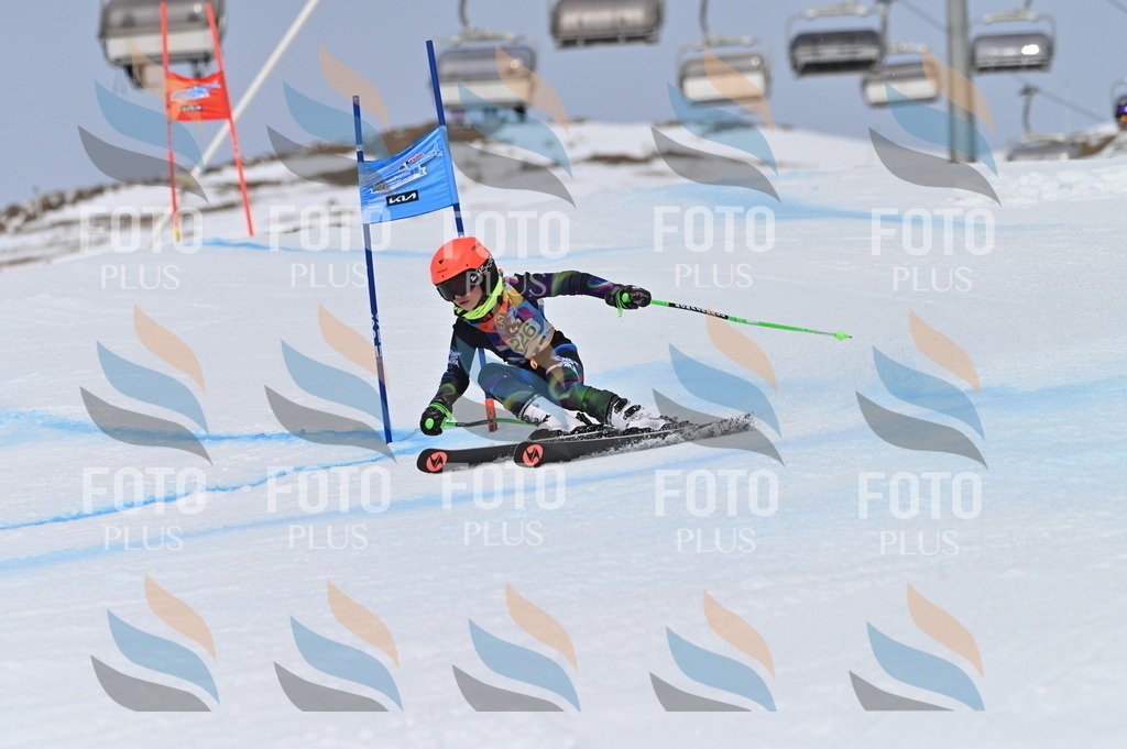 BGV_4461 | holidayphoto