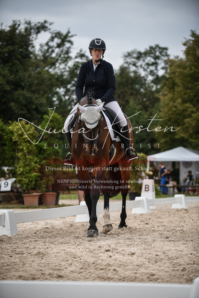 DSC_8461 | Pferde- und Turnierfotografie in Westsachsen. Pferdeportraits, Auftragszeichnungen und intuitive Kunst.