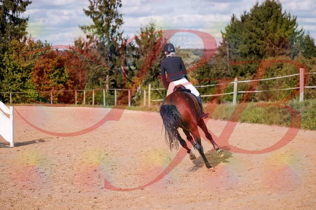 2026_10_03_Siefer-Hof_154120_Z81_57799845 | Professionelle Reitsport-, Turnier- und Eventfotografie von Robert Broda. Galerien mit ausgewählten und bearbeiteten Bildern direkt online ansehen und bestellen.