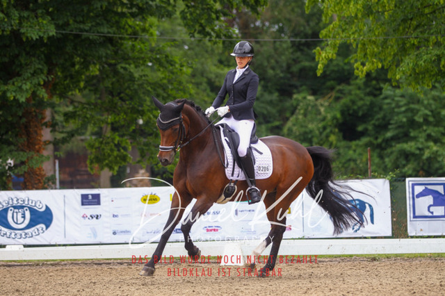 DKP41796 | Turniersportfotografie; Pferdefotografie; Dressurfotografie