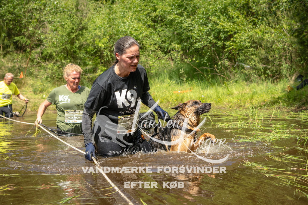1235DKK993090 | kk-dogfotos