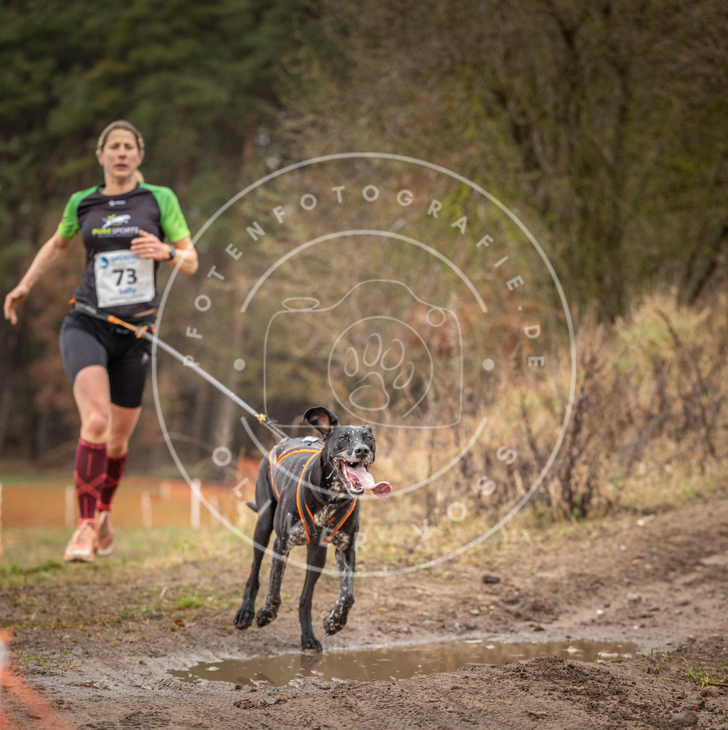 DV3A0244 | Hundefotografie, Tierfotograf, Pfotenfotografie, Fotoshooting Hund, Hunde Portrait, Hundesport, Hundeportraits, Heideshooting, Hunde, Sportfotograf, Hundefotograf, Turnierhundsport, THS,  - Realisiert mit Pictrs.com