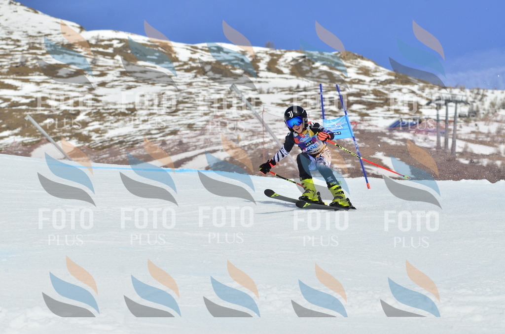 _ELE2048 | holidayphoto