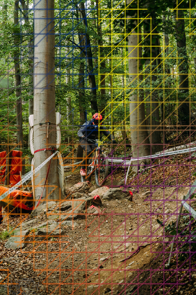 PAE-2003 | Einzigartige Fotokunst für dein Zuhause: Entdecke hochwertige Wandbilder, edle Prints und emotionale Motive von Wildlife, Natur und Landschaften - Realisiert mit Pictrs.com