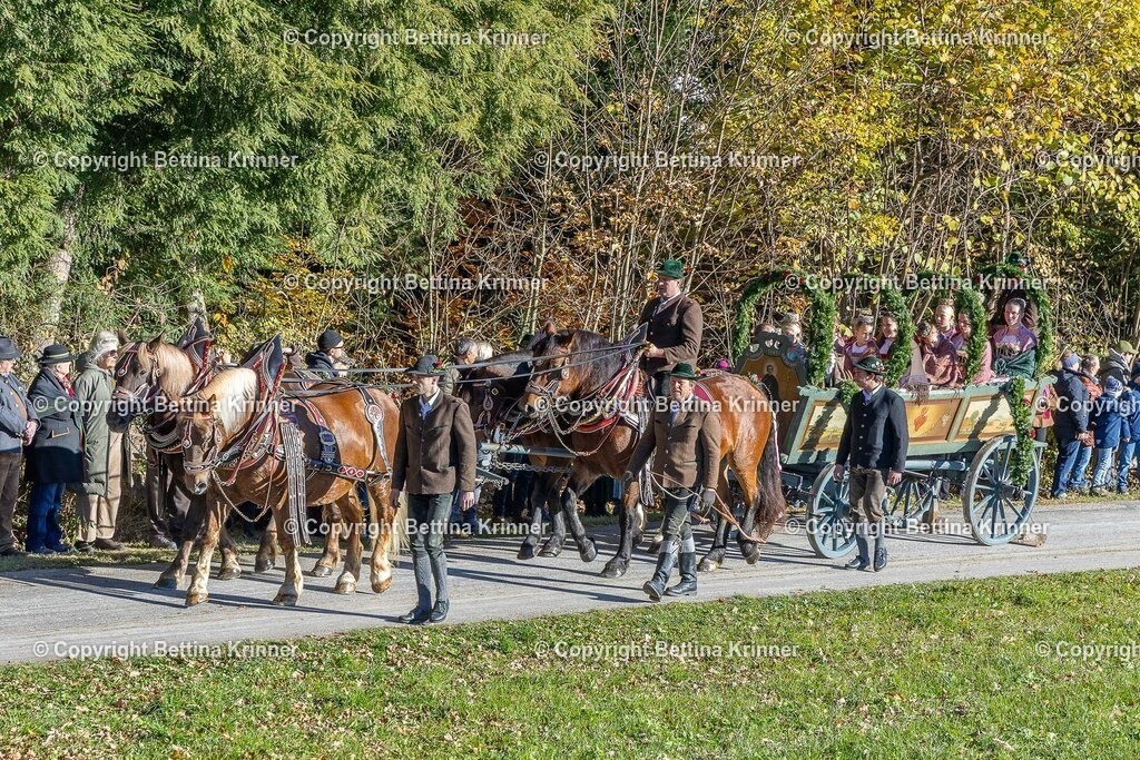 LBT25-461 | foto-bettina-krinner - Realisiert mit Pictrs.com