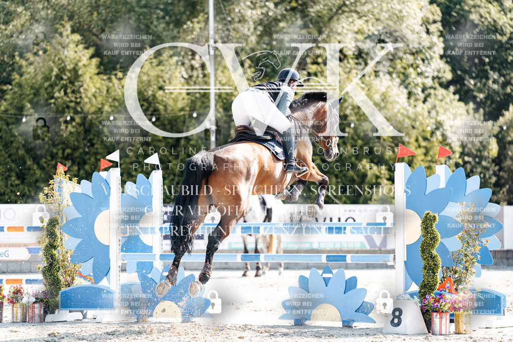 CK902331 | Turnierfotografie Pferdefotografie Trier Rheinland-Pfalz Pferdesport Reitsport Tierfotografie Sportfotografie Pferdevideo Pferdevideografie Equestrianvideography equestrianphotography  - Realisiert mit Pictrs.com