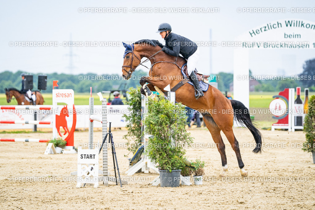 DSC07405 | Pferdegrafie