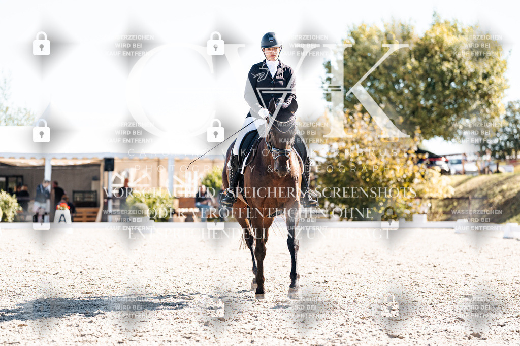 CK908693 | Turnierfotografie Pferdefotografie Trier Rheinland-Pfalz Pferdesport Reitsport Tierfotografie Sportfotografie Pferdevideo Pferdevideografie Equestrianvideography equestrianphotography  - Realisiert mit Pictrs.com