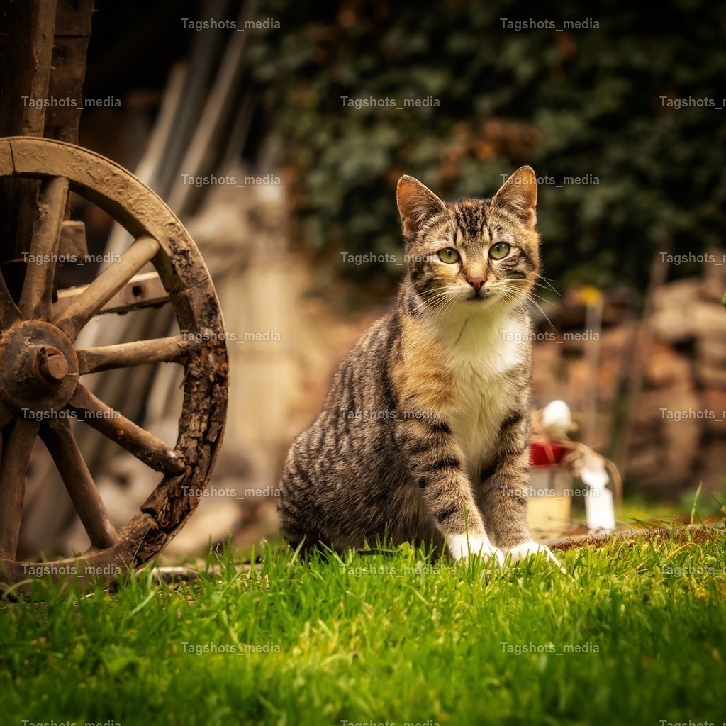 DSC09359 | tagshotsmedia - Realisiert mit Pictrs.com