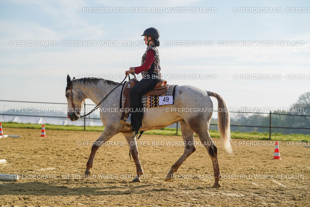 DSC00831 | Pferdegrafie