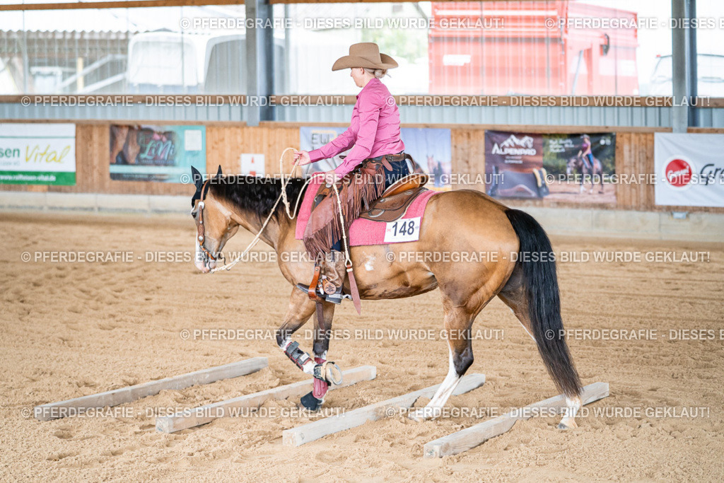 DSC08897 | Pferdegrafie