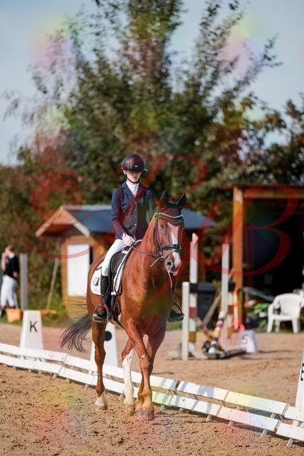2026_10_03_Siefer-Hof_123441_Z63_52977497 | Professionelle Reitsport-, Turnier- und Eventfotografie von Robert Broda. Galerien mit ausgewählten und bearbeiteten Bildern direkt online ansehen und bestellen.