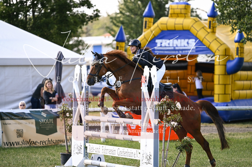 DSC_1367 | Pferde- und Turnierfotografie in Westsachsen. Pferdeportraits, Auftragszeichnungen und intuitive Kunst.