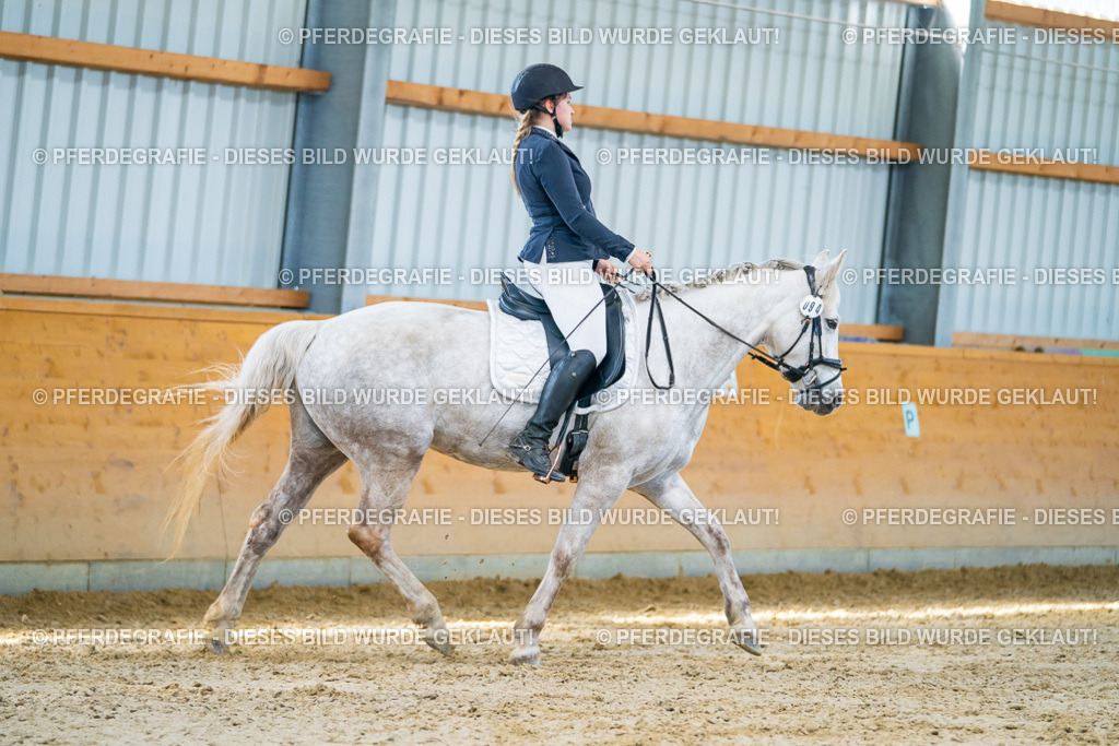 DSC06920 | Pferdegrafie