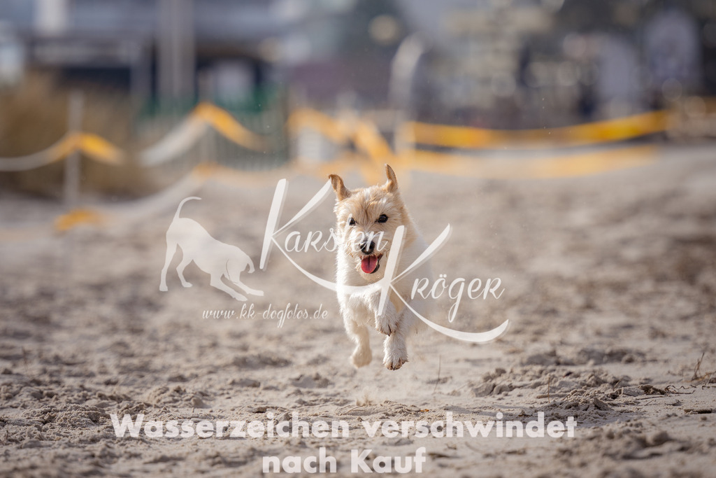 1326_ZZ99102-Bearbeitet | kk-dogfotos