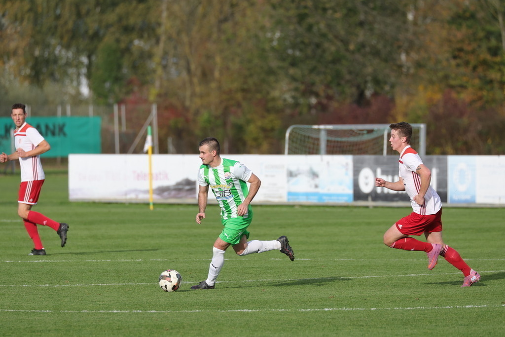 0P6A4865 | Willkommen bei Brunnmayr - Design & Fotografie – Ihrem Spezialisten für Reitturniere und Pferdeveranstaltungen in Oberösterreich, Salzburg und Bayern! Seit über 17 Jahren sind wir leidenschaftlich dabei.