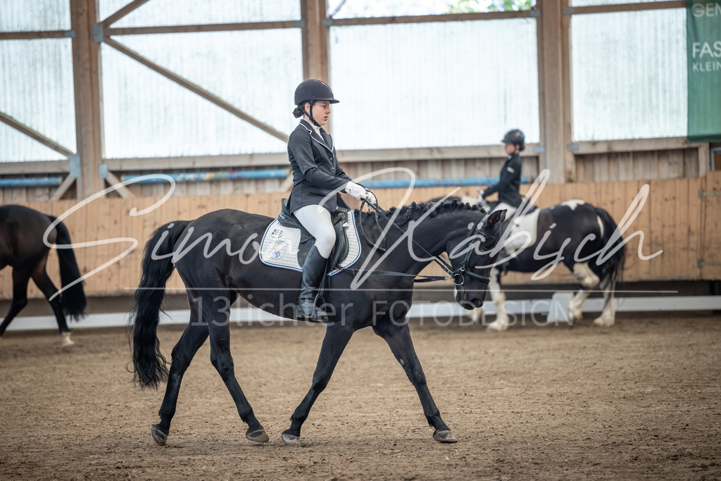 20251011-_3LI7591 | Tierfotografie Pferde, Hunde, Katzen, Haustiere.
Turnierfotografie Reitturniere, Reiten, Springreiten, Dressur in Hanau, dem Main-Kinzig-Kreis und dem Rhein-Main- Gebiet um Frankfurt