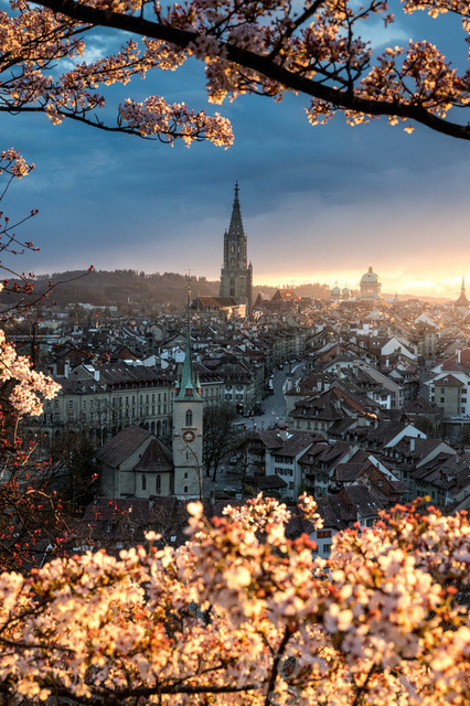 sunset durign cherry blossom in Bern seen from Rosengarten | Die ideale Geschenkidee für Naturliebhaber. Naturbilder von Marcel Gross Photography für ihr Zuhause in den verschiedensten Formaten und Materialien. - Realizado com Pictrs.com
