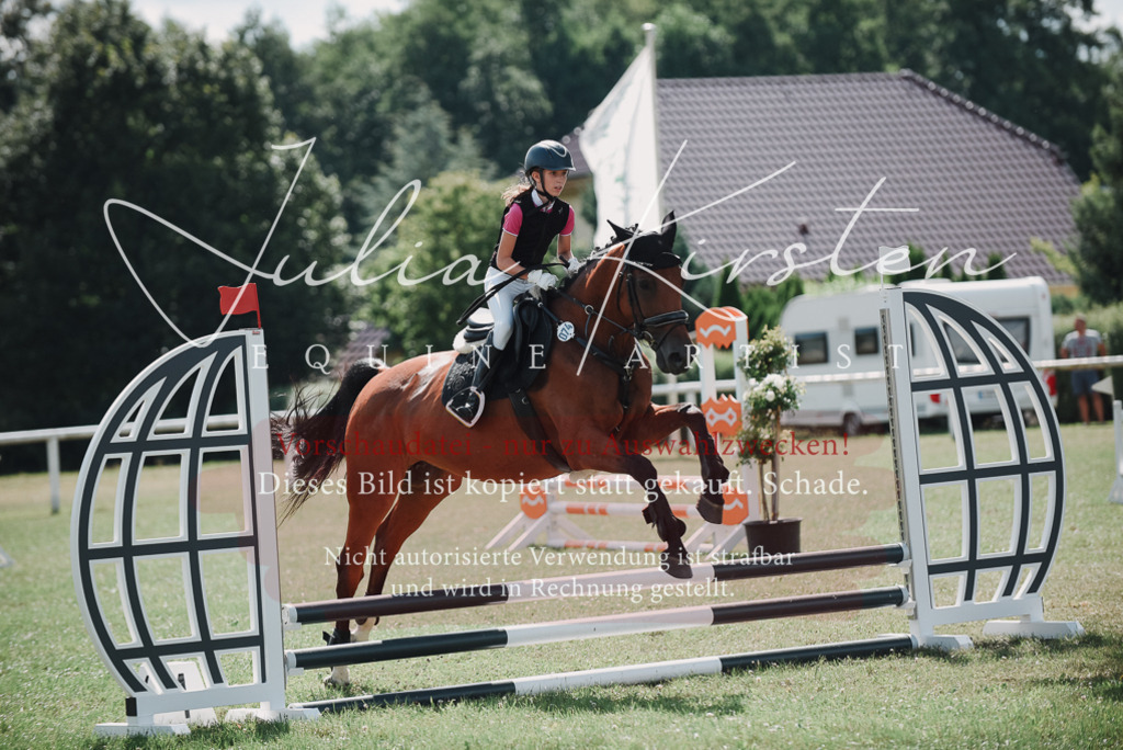 DSC_5633 | Pferde- und Turnierfotografie in Westsachsen. Pferdeportraits, Auftragszeichnungen und intuitive Kunst.