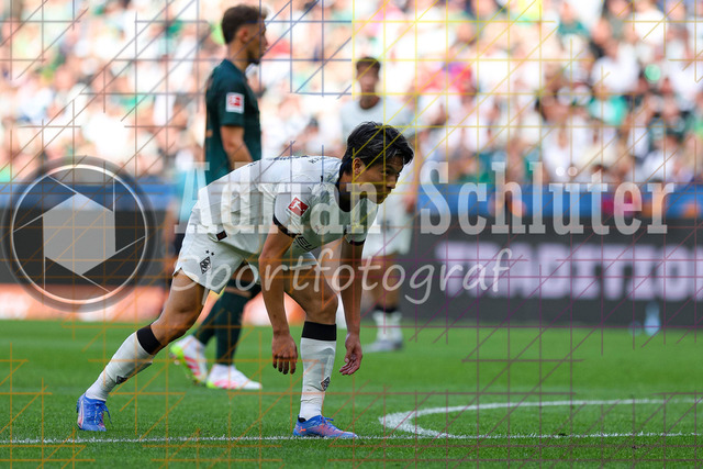 Borussia Mönchengladbach vs SV Werder Bremen - Bundesliga  | Mönchengladbach, Deutschland, 14.09.25:   Shuto Machino (Borussia Mönchengladbach) schaut waehrend des Spiels der Bundesliga zwischen Borussia Mönchengladbach vs SV Werder Bremen im Stadion im Borussia Park(Foto von Brauer-Fotoagentur / Adrian Schlueter)