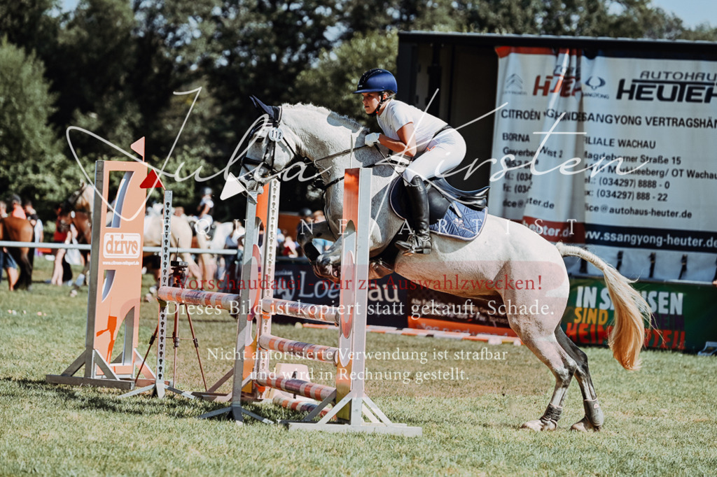 DSC_6524 | Pferde- und Turnierfotografie in Westsachsen. Pferdeportraits, Auftragszeichnungen und intuitive Kunst.