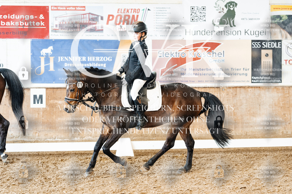 CK900039 | Turnierfotografie Pferdefotografie Trier Rheinland-Pfalz Pferdesport Reitsport Tierfotografie Sportfotografie Pferdevideo Pferdevideografie Equestrianvideography equestrianphotography  - Realisiert mit Pictrs.com