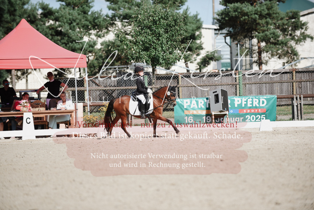 DSC_0152 | Pferde- und Turnierfotografie in Westsachsen. Pferdeportraits, Auftragszeichnungen und intuitive Kunst.