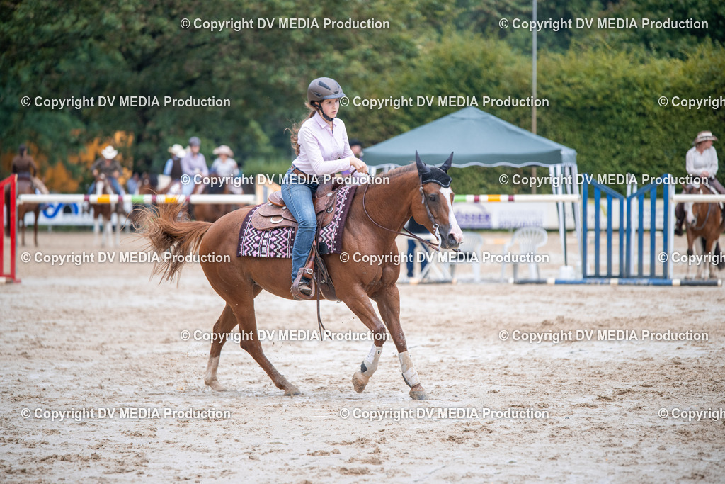 ZS2_4134 | dv-media-shop - Realisiert mit Pictrs.com