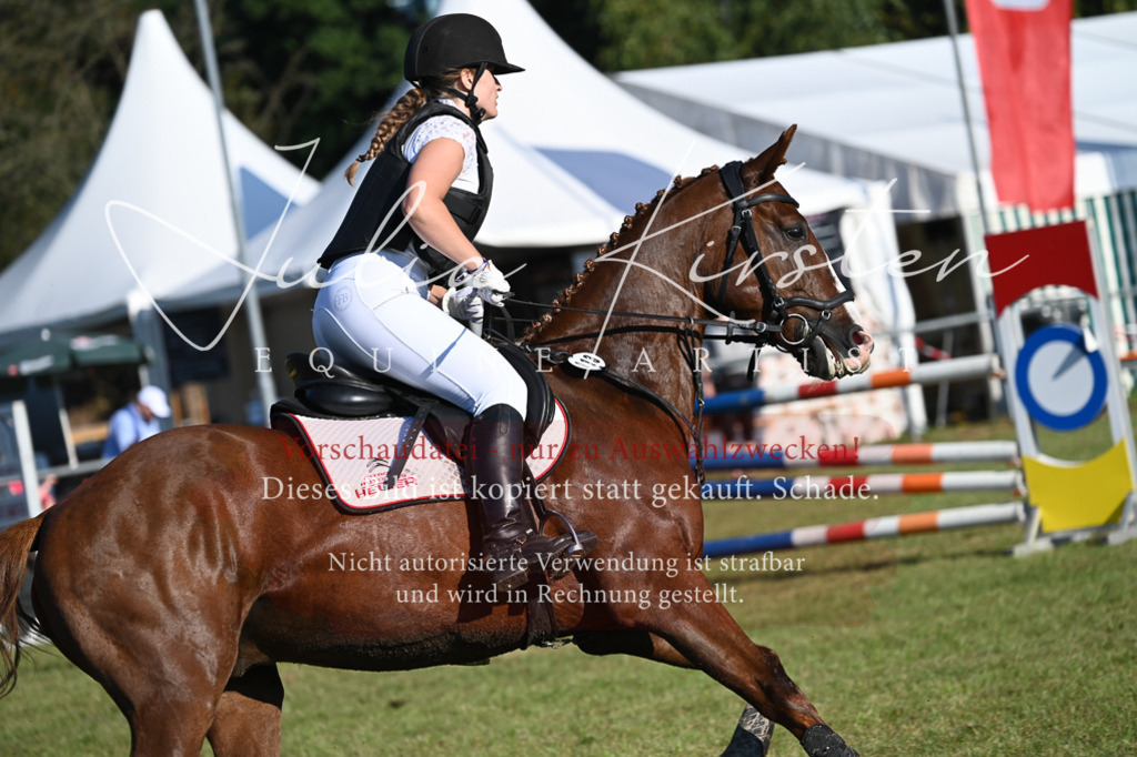 DSC_4713 | Pferde- und Turnierfotografie in Westsachsen. Pferdeportraits, Auftragszeichnungen und intuitive Kunst.