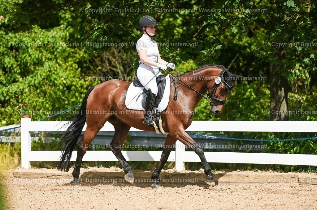 20230715_02_Dressurreiterprüfung Kl.L_0218 | equistock