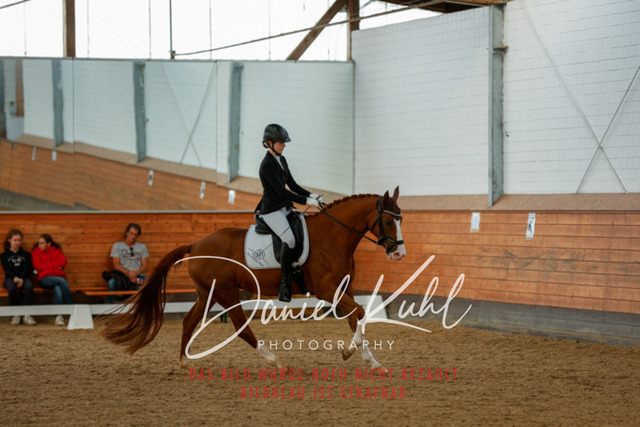 _62_7824 | Turniersportfotografie; Pferdefotografie; Dressurfotografie