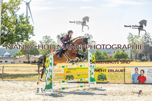 26-7-24 SPF M+-510 | mandyhollmannphotographie