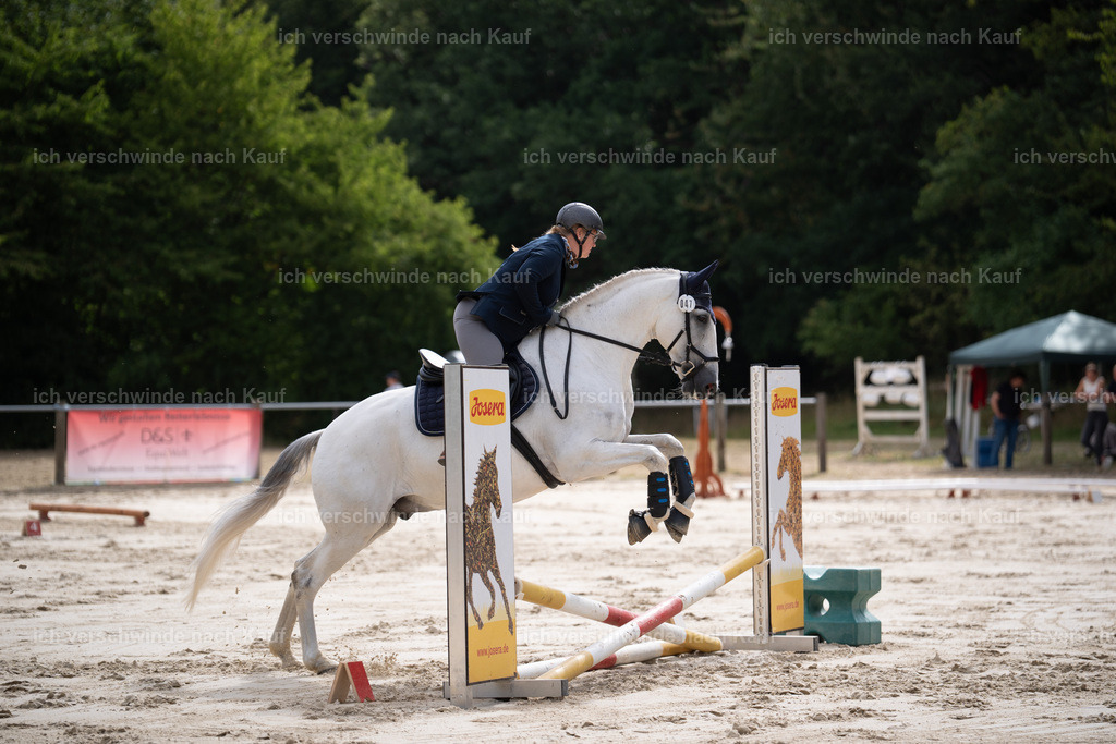 WL_ST_47_stoibphotography__SO10515 | working equitationturnier fotograf videograf stoibphotography marixx film working equitation deutschland reitsport turnierfotografie eventfotografie equestrian events