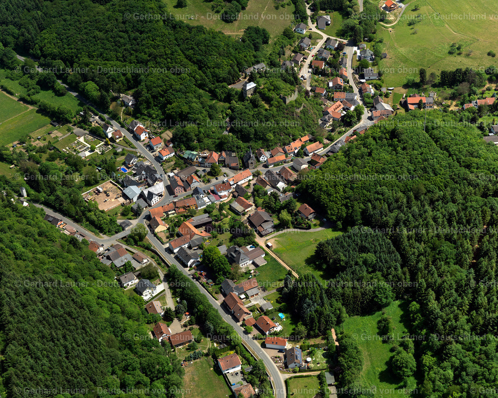 3108754 | Argenschwang