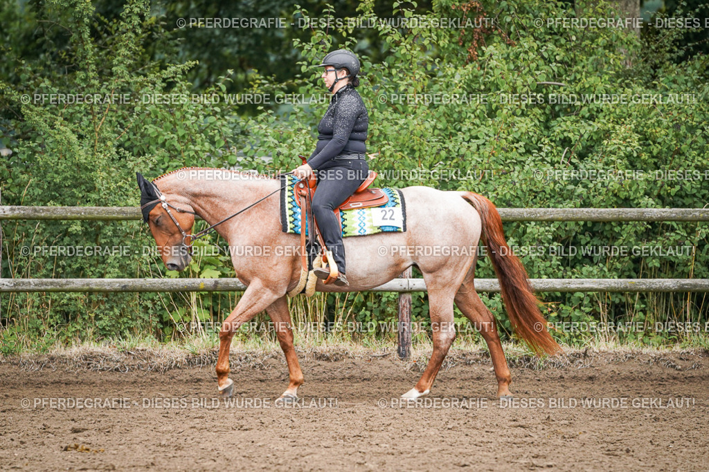 DSC01846 | Pferdegrafie