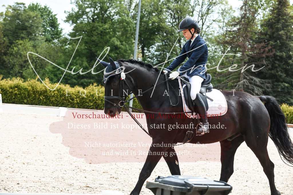 20230518_JK-Röhrsdorf-11-0007 | Pferde- und Turnierfotografie in Westsachsen. Pferdeportraits, Auftragszeichnungen und intuitive Kunst.