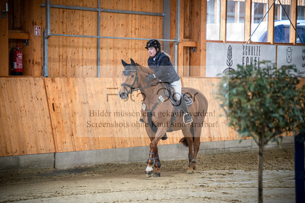 DOS_0102 | Entdecke hochwertige Reitturnierfotos von Foto Oger. Professionell, emotional und authentisch – jetzt Lieblingsmomente im Shop bestellen.Deutschlandweite Turnierfotografie. - Realisiert mit Pictrs.com