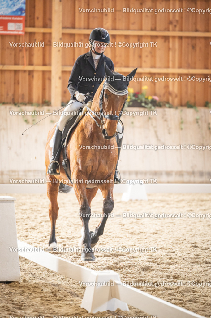 _D5A9385 | Emotionale Pferde- & People-Fotografie rund um Heidelberg, Leimen & Umgebung. Natürliche Fotos von Pferd, Mensch & Familie. Jetzt Termin sichern!