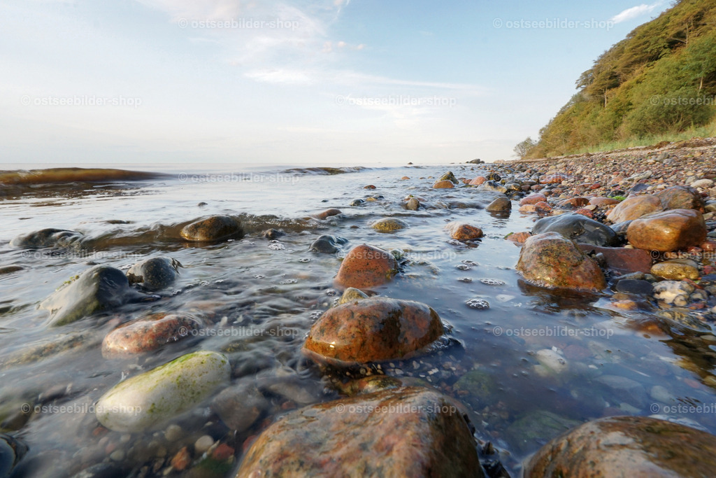 Steiniges Ostseeufer | Halb verdeckt vom Wasser sammeln sich Steine am Strandsaum des Ostseeufers.