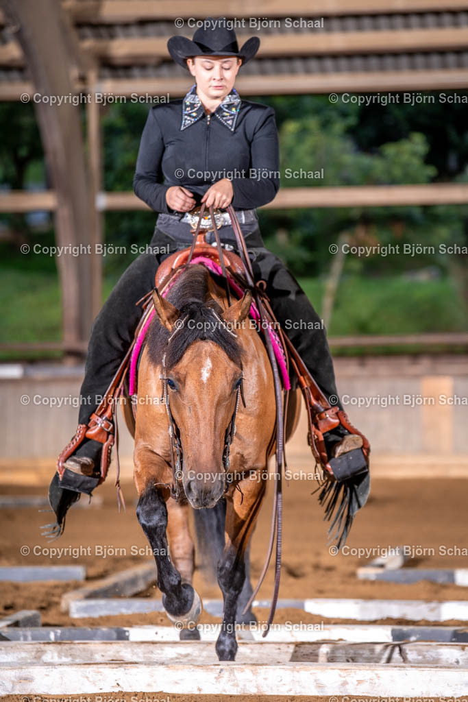 LMB04836 | BS-foto