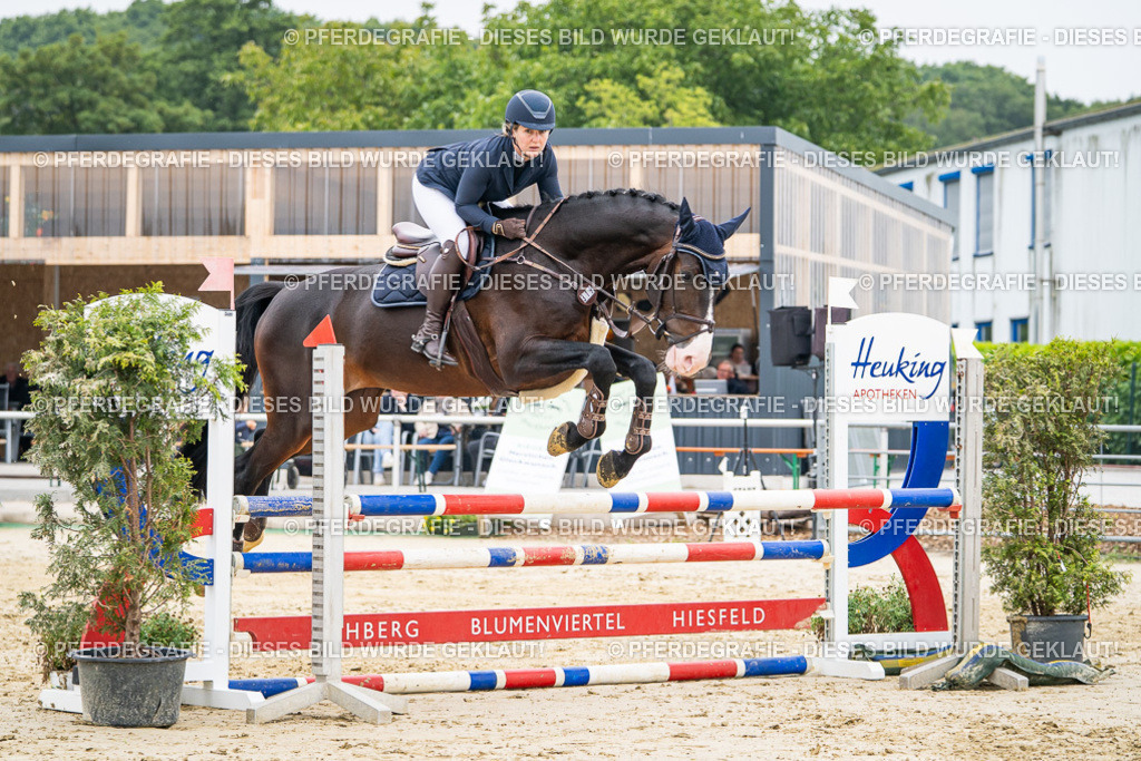 DSC00015 | Pferdegrafie