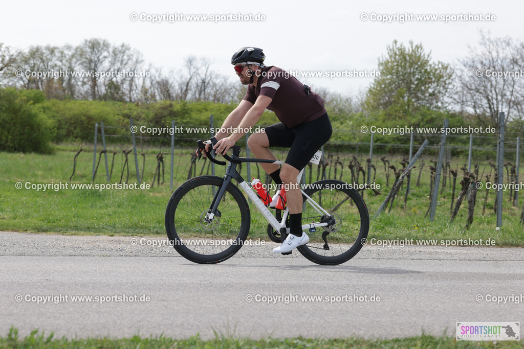 368A4830 | Neusiedlersee Radmarathon 2026@sportshot_your_pictrs #yourpictures#roadtowm2029 #nrm #neusiedlerseeradmarathon #neusiedlersee #neusiedlerseetourismus #burgenland #mörbisch #nrm26 #burgenlandtourismus #voglundco #poweredbyburgenlandtourismus #radsport #rad #marathon #ucigranfondo #visitburgenland #ucigranfondoworldseries