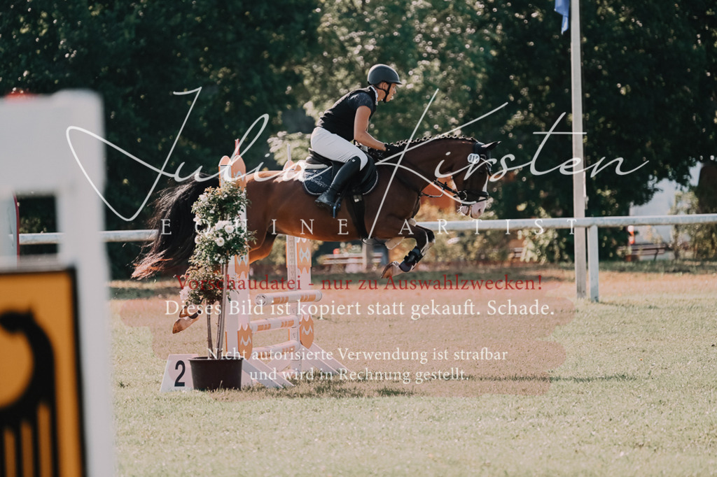 DSC_4727 | Pferde- und Turnierfotografie in Westsachsen. Pferdeportraits, Auftragszeichnungen und intuitive Kunst.