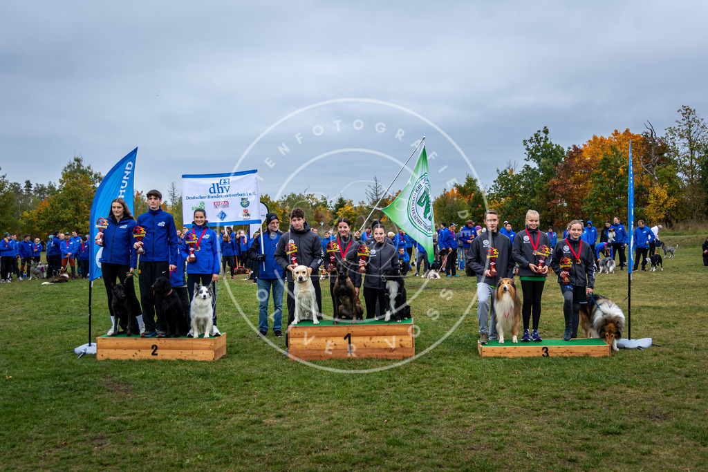 Pfotenfotografie_0L8A0697 | Hundefotografie, Tierfotograf, Pfotenfotografie, Fotoshooting Hund, Hunde Portrait, Hundesport, Hundeportraits, Heideshooting, Hunde, Sportfotograf, Hundefotograf, Turnierhundsport, THS,  - Realisiert mit Pictrs.com