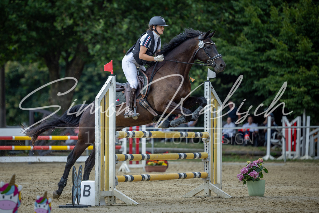 20260704-_3LI1672 | Tierfotografie Pferde, Hunde, Katzen, Haustiere.
Turnierfotografie Reitturniere, Reiten, Springreiten, Dressur in Hanau, dem Main-Kinzig-Kreis und dem Rhein-Main- Gebiet um Frankfurt