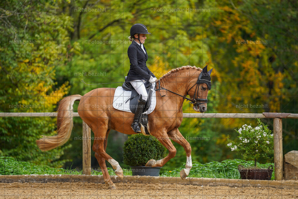 20221007-FAH09842 | Diessen am Ammersee, 2022, Dressur- und Springturnier, Reitsportbilder, Turnierfotografen Bayern, Pferdefotografen, Fotoagentur Herrmann, Turnierbilder