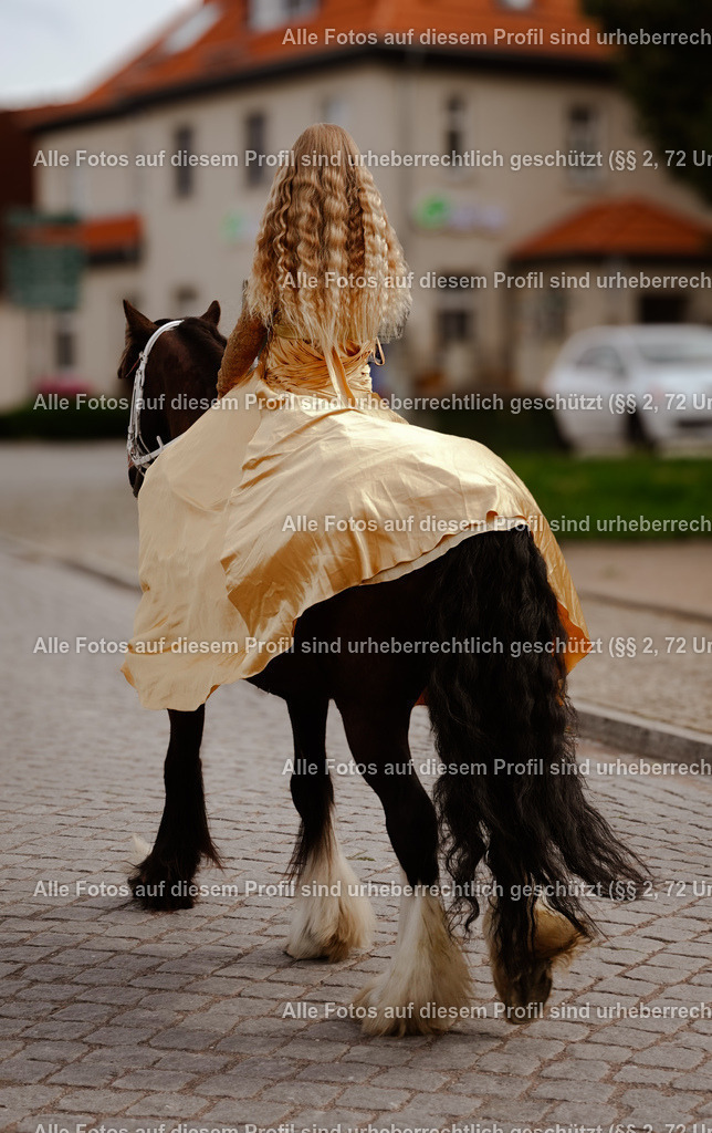 BMF09187_2 | krollfotografie - Realisiert mit Pictrs.com